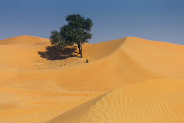 Fototapeta na wymiar Arabian desert