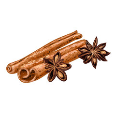 Anice stars and cinnamon sticks. Kitchen herbs and spices. Vector illustration. Sketch
