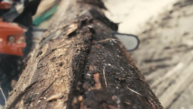 Cutting through wood with chainsaw in super slow motion. 