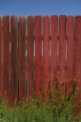 Rustic Red Fence with Green Plants and Blue Sky
