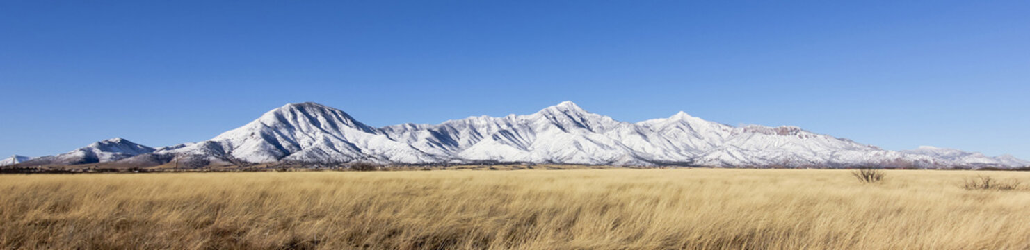 A Panorama of the Snowy Huachuca Mountains