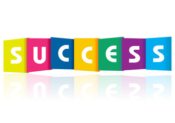 Success paper text
