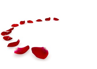 Red rose petals scattered on the floor