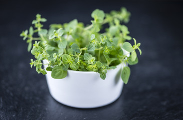 Slate Slab with Oregano
