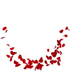 The petals of the dark rose is the original story