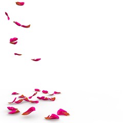 Rose petals speckled fall on the floor