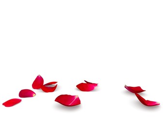Rose petals fall to the floor