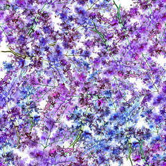 Паттерн синие и фиолетовые  полевые цветы на ветке акварелью