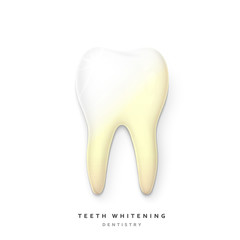 Realistic tooth isolated on a white background. White tooth for dental services. Tooth 3D. Tooth with a transparent shade. Molar. Teeth whitening. Tooth for a banner. Yellow teeth . teeth whitening 