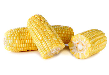 Corn on white background