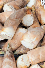 image of Bamboo shoot in market
