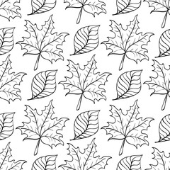 Vector Floral Pattern