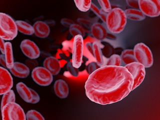 Blood cells. 3D illustration