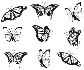 buntes Schmetterlinge Sortiment  © Mareen Vandelay