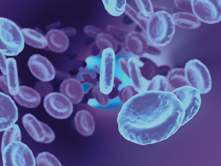 Blood cells. 3D illustration