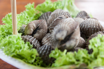  cockles
