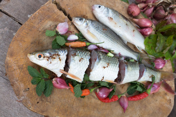 Freshwater fishes susceptible host of opisthorchis viverrini