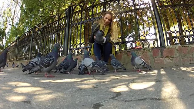 Beautiful girl feeding pigeons in the park