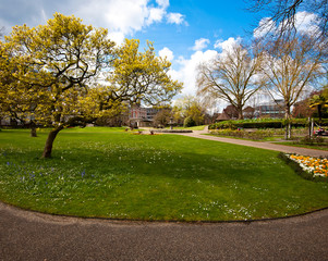 spring park in the city