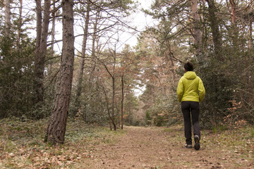 Caminando en el bosque, Pirineos Aragones, Espa&ntilde;a