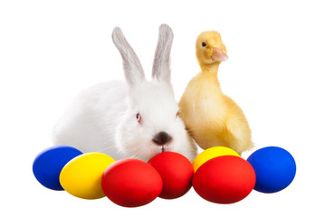 Rabbit and duckling with Easter eggs - Powered by Adobe