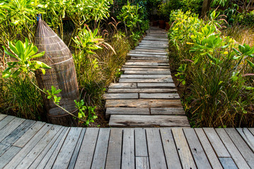 wooden teak walkway background