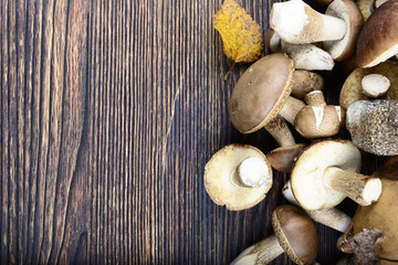 mushrooms on a wooden background