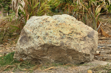 Stone