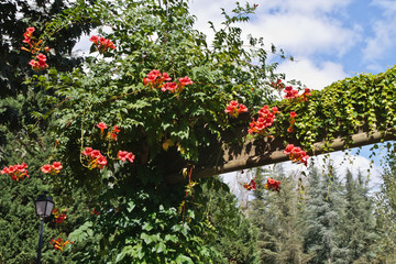 Le Saillant (Corrèze)