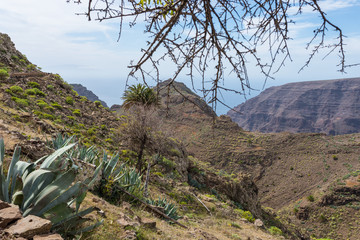 On the Argaga ravine trail. The path is difficult to walk and goes over the right ridge next to...