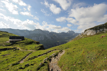 Naklejka premium Schweizer Alpen