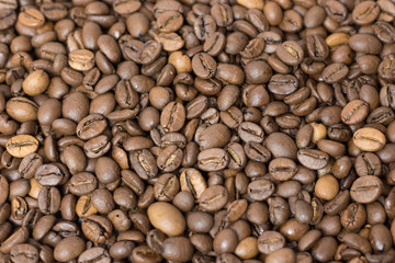 Coffee beans close up