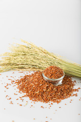 Brown rice isolated