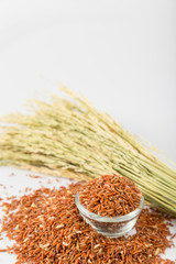 Brown rice isolated