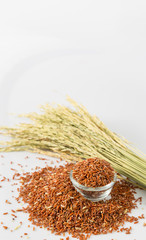 Brown rice isolated