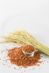 Brown rice isolated