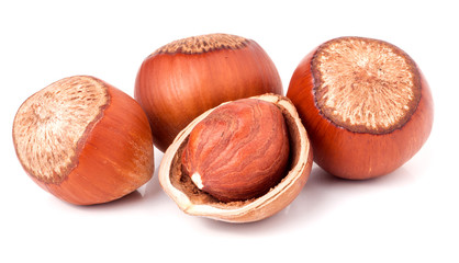 Four hazelnuts  isolated on white background close-up macro