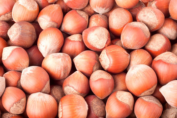 unpeeled hazelnuts as a background close-up macro