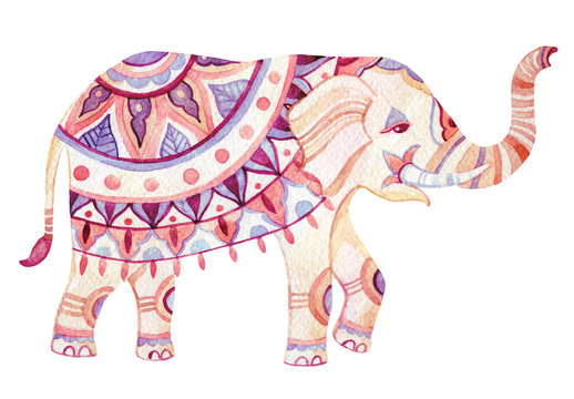 Indian elephant watercolor illustration