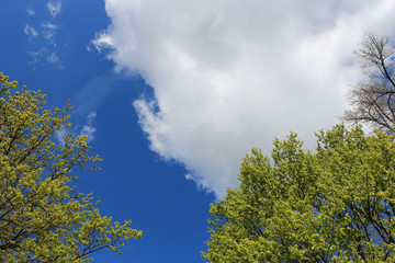 spring sky