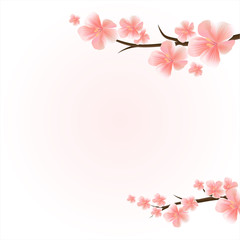 Fototapeta na wymiar Branches of sakura with flowers. Cherry blossom branches isolated on light-pink. Vector
