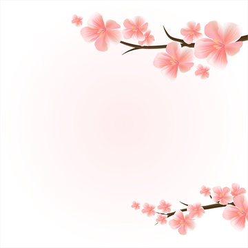 Branches of sakura with flowers. Cherry blossom branches isolated on light-pink. Vector