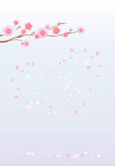 Branch of sakura with flowers. Cherry blossom branch with flying petals. Vector 