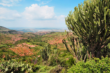Valley view
