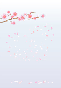 Branch of sakura with flowers. Cherry blossom branch with flying petals. Vector 
