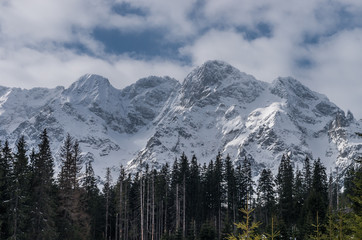 Tatra mountains, Mieguszowiecki peak in winter over conifer forest
