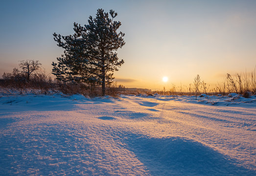 Winter sunset in fields