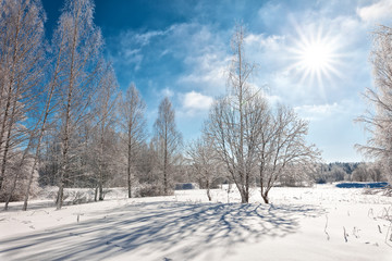 Winter landscape