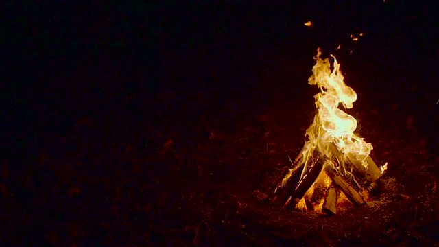 Outdoor wood campfire burring brightly at night forest with sparks