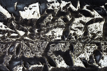 Tar roofing paper texture
